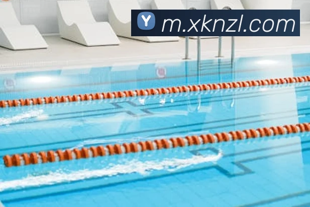 尊龙凯时平台生态图